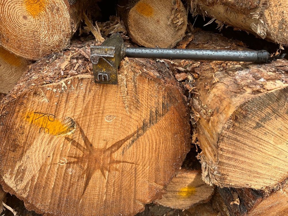 Timber Harvest Sale