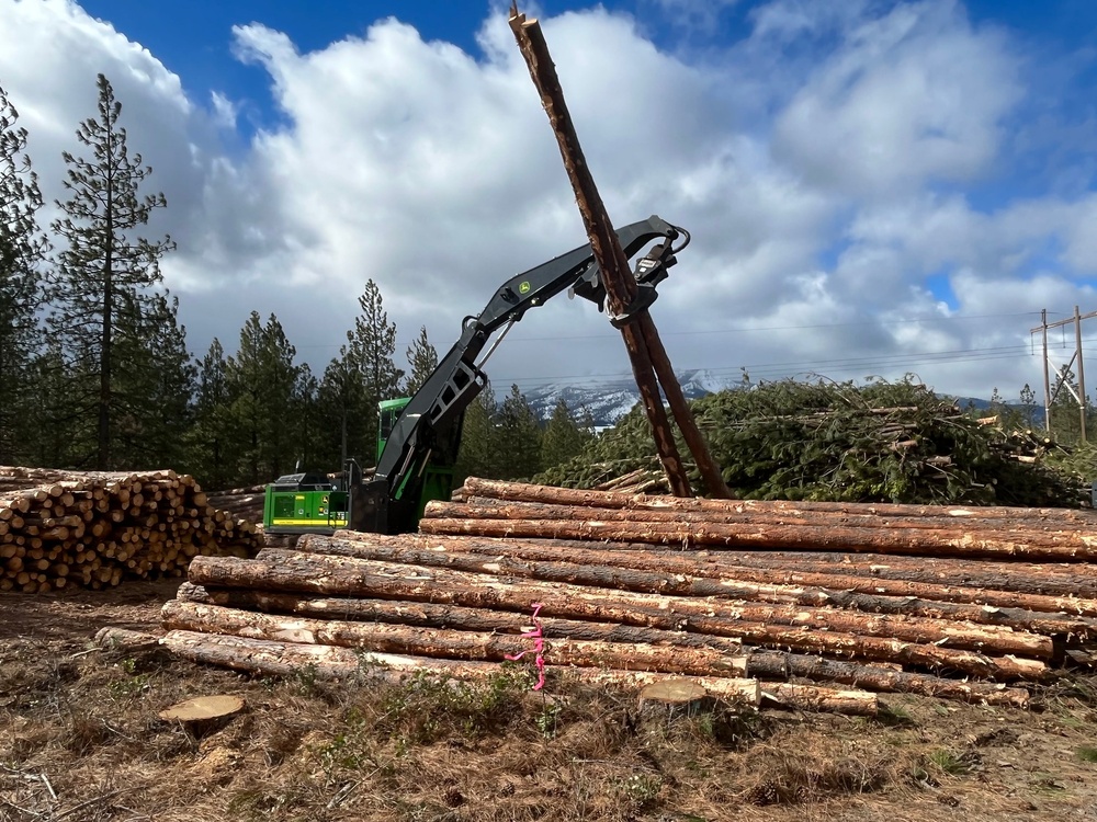 Timber Harvest Sale