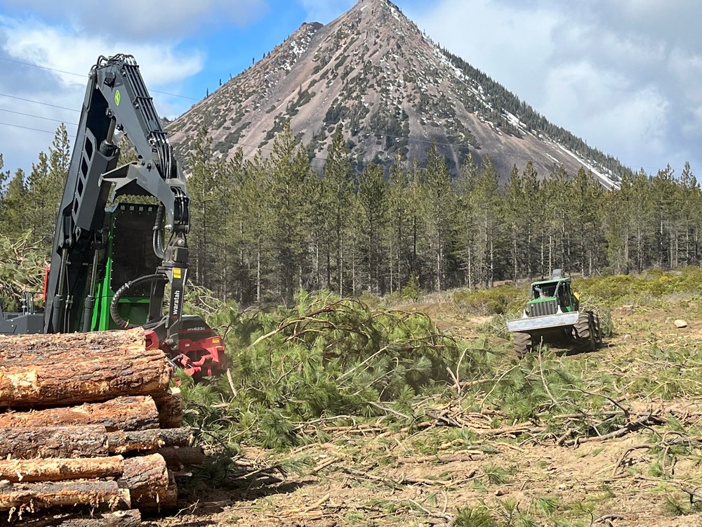 Timber Harvest Sale