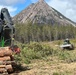 Timber Harvest Sale
