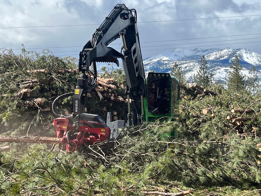Timber Harvest Sales