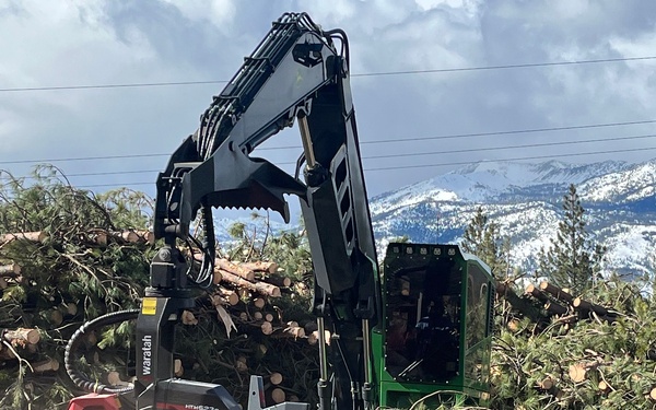 Timber Harvest Sales