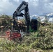 Timber Harvest Sales