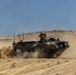 BRIGHT STAR 25: Task Force Reaper live fire training