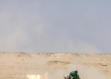 BRIGHT STAR 25: Task Force Reaper live fire training