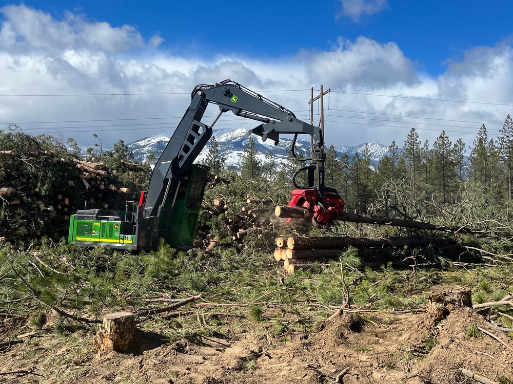 Timber Harvest Sale