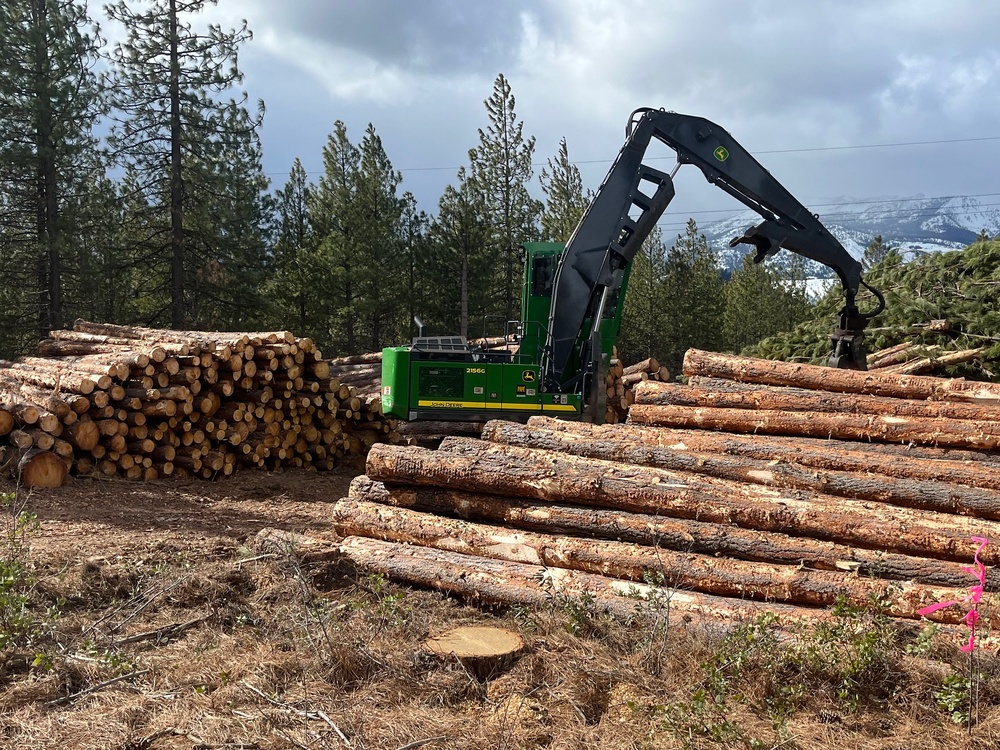 Timber Harvest Sale