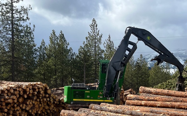 Timber Harvest Sale