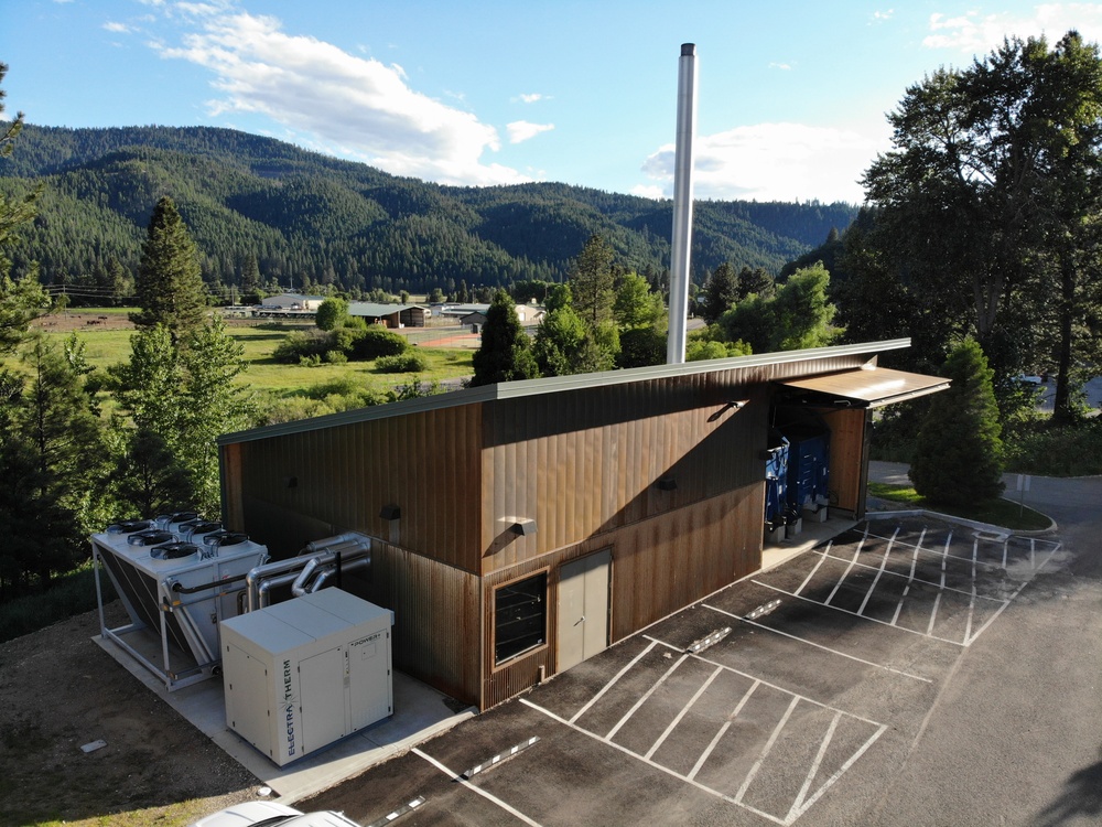 Biomass