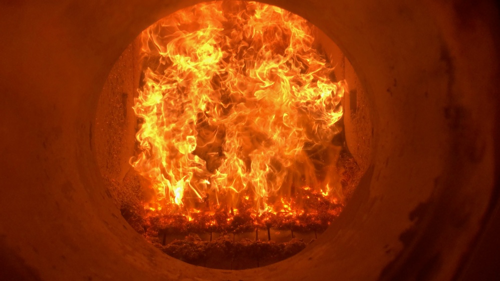 Biomass