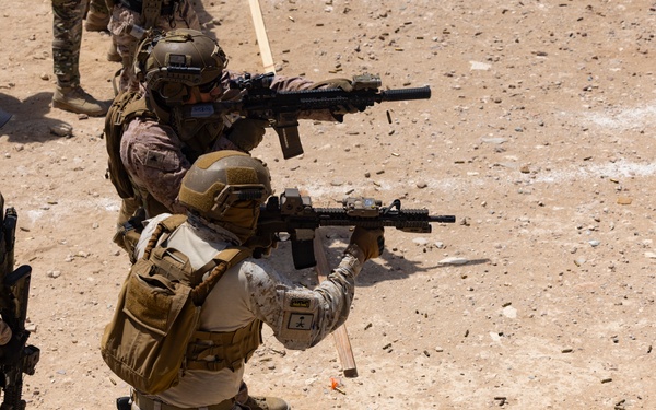 BRIGHT STAR 25 Naval Special Warfare Live Fire