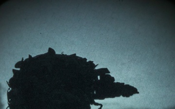 5th SFG (A) Soldiers Conduct Weapons Validation at JRTC