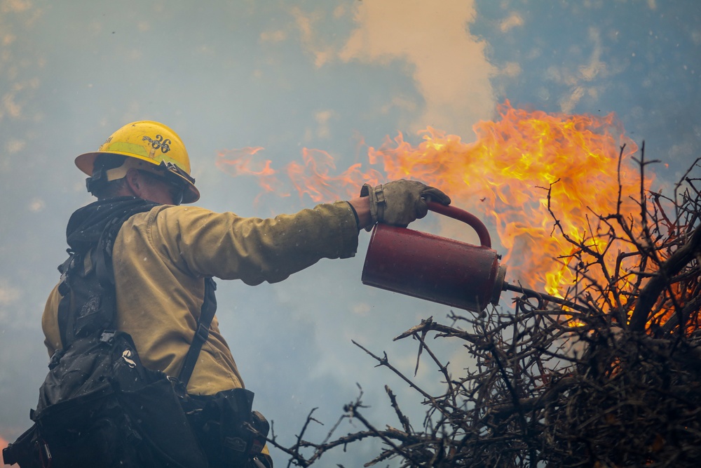 Prescribed Fire