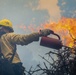 Prescribed Fire