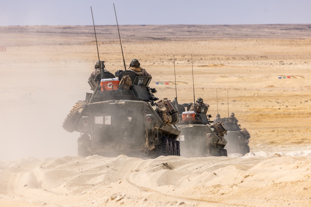 BRIGHT STAR 25: Range maneuvers