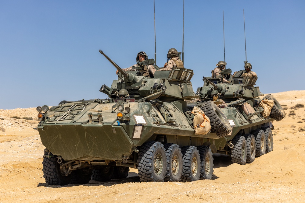 BRIGHT STAR 25: Range maneuvers