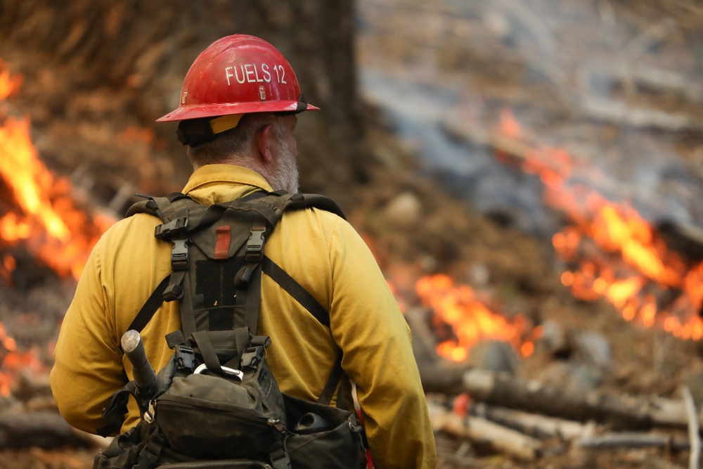Experimental Forest Prescribed Burn