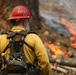Experimental Forest Prescribed Burn