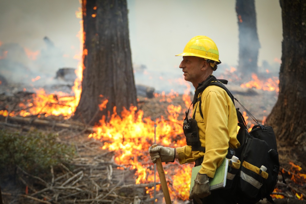 Experimental Forest Prescribed Burn
