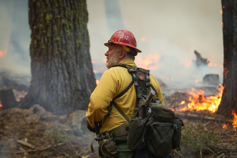 Experimental Forest Prescribed Burn