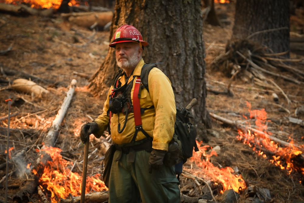 Experimental Forest Prescribed Burn
