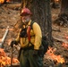 Experimental Forest Prescribed Burn