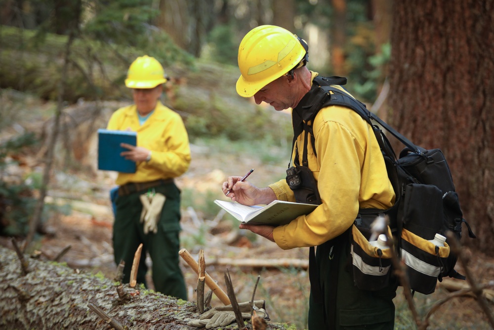 Experimental Forest Prescribed Burn