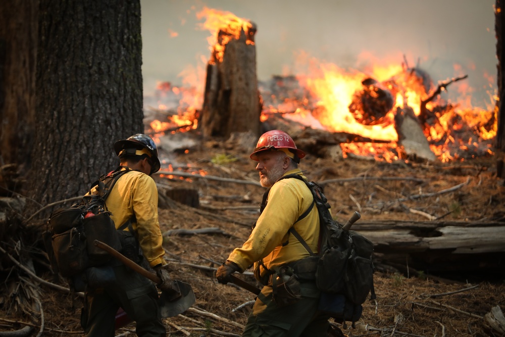 Experimental Forest Prescribed Burn
