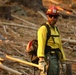 Experimental Forest Prescribed Burn