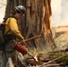 Experimental Forest Prescribed Burn