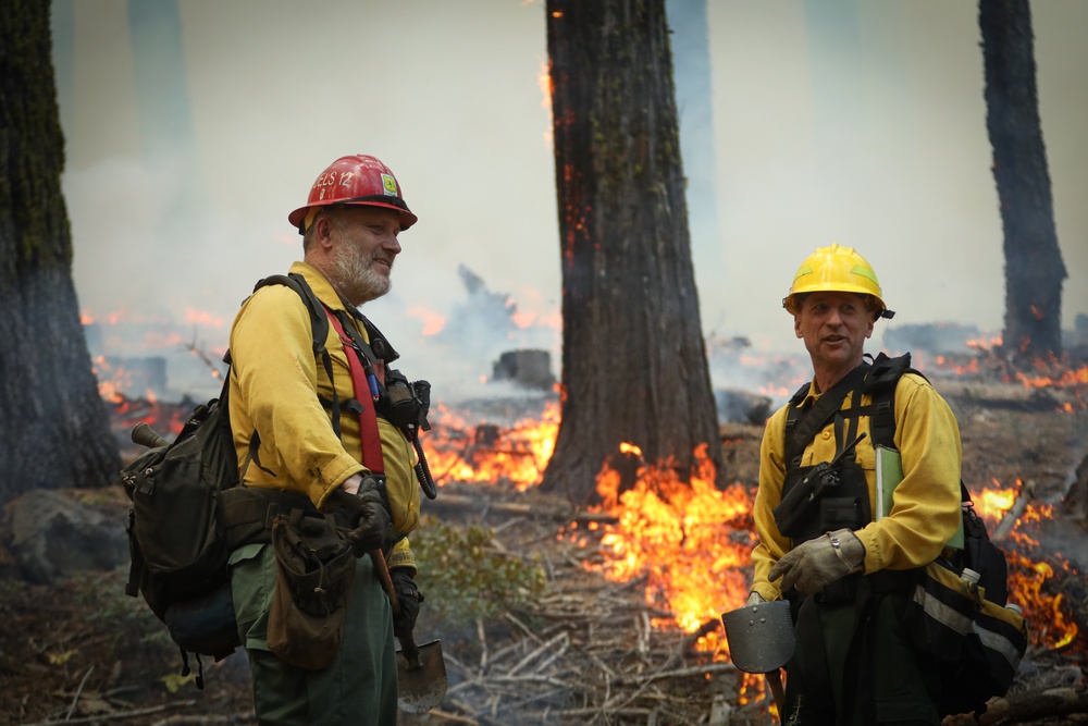 Experimental Forest Prescribed Burn