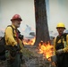 Experimental Forest Prescribed Burn