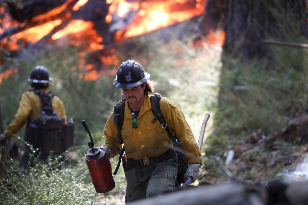 Experimental Forest Prescribed Burn