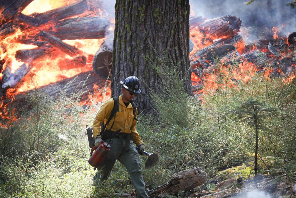 Experimental Forest Prescribed Burn