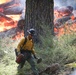 Experimental Forest Prescribed Burn