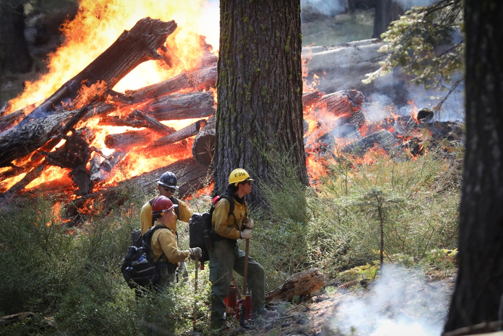 Experimental Forest Prescribed Burn
