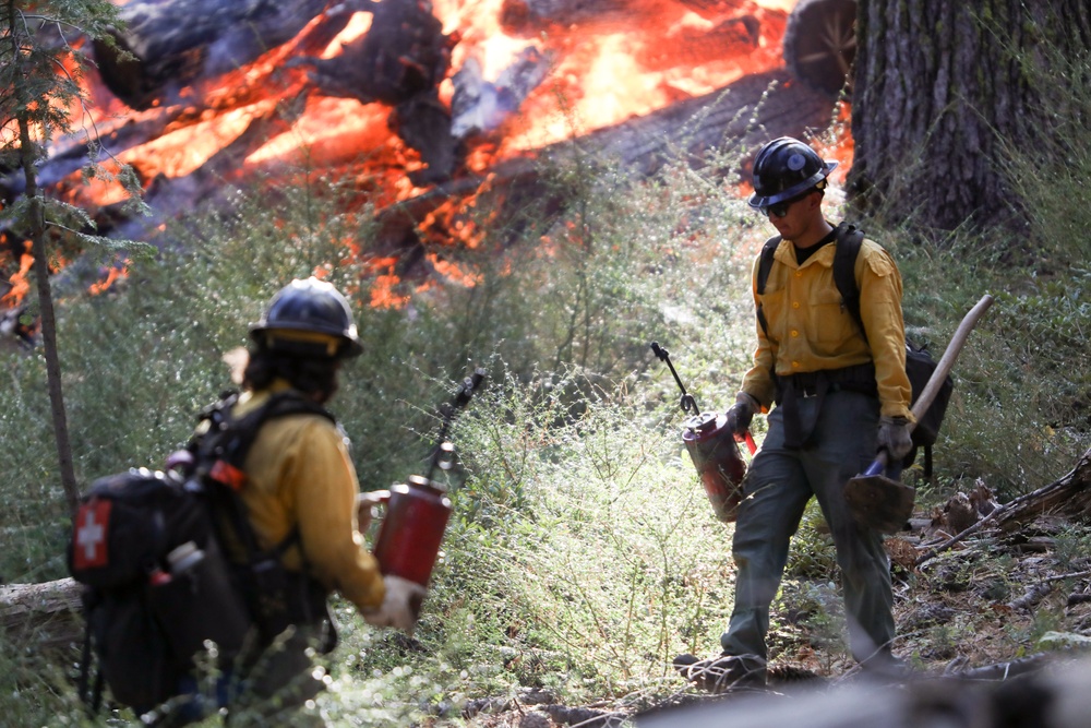 Experimental Forest Prescribed Burn