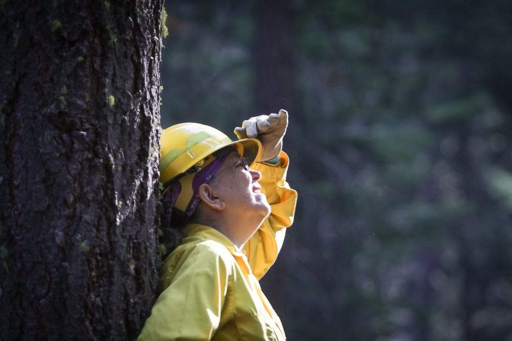 Experimental Forest Prescribed Burn