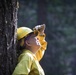 Experimental Forest Prescribed Burn