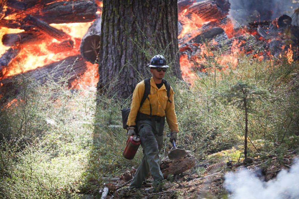 Experimental Forest Prescribed Burn