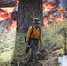Experimental Forest Prescribed Burn