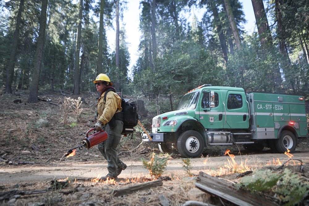 Experimental Forest Prescribed Burn