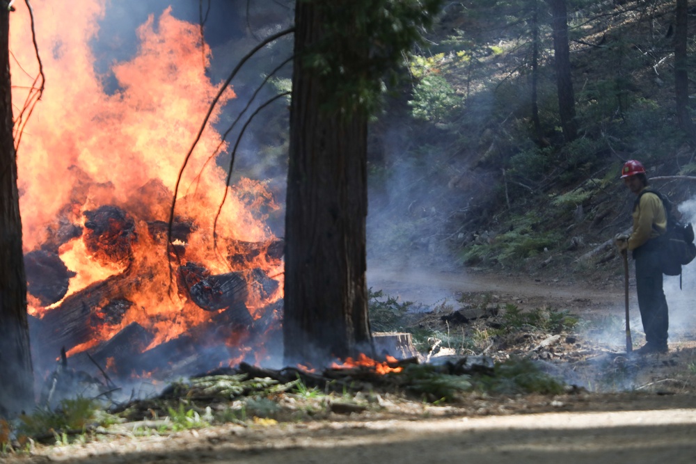 Experimental Forest Prescribed Burn