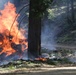 Experimental Forest Prescribed Burn