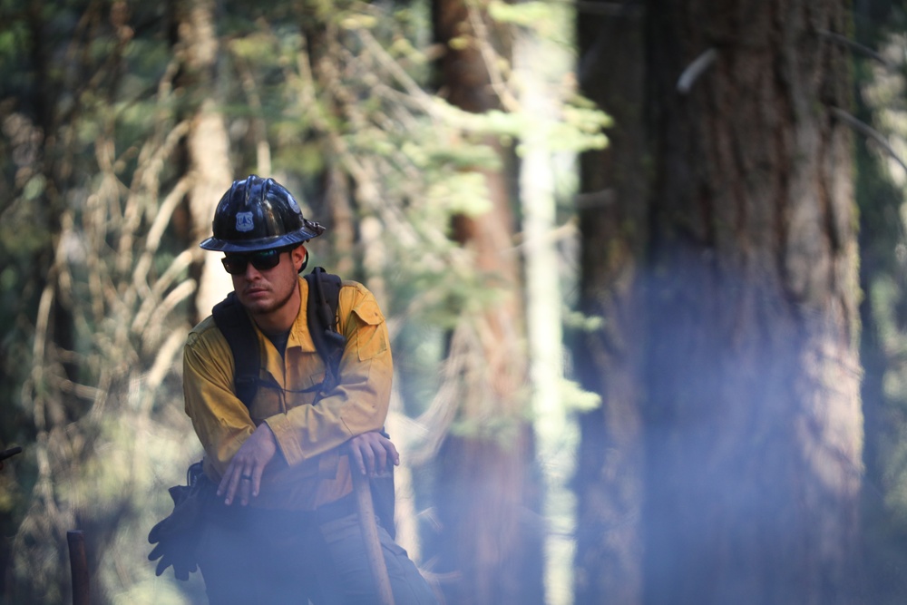 Experimental Forest Prescribed Burn