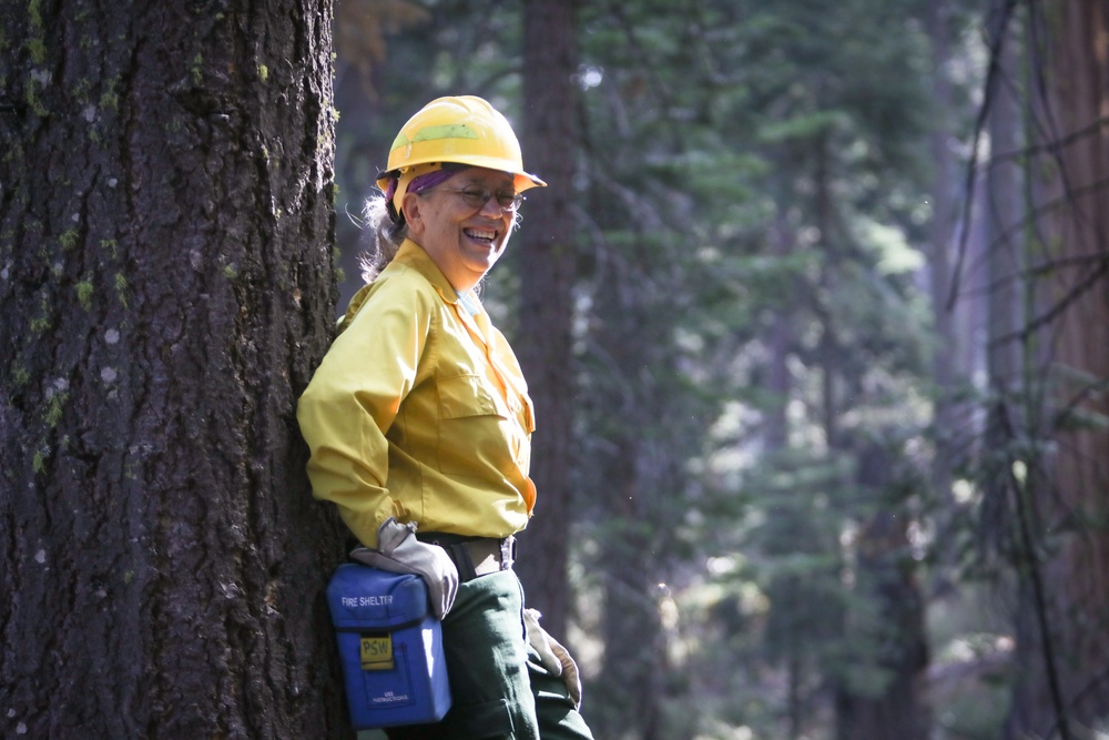 Experimental Forest Prescribed Burn