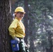 Experimental Forest Prescribed Burn