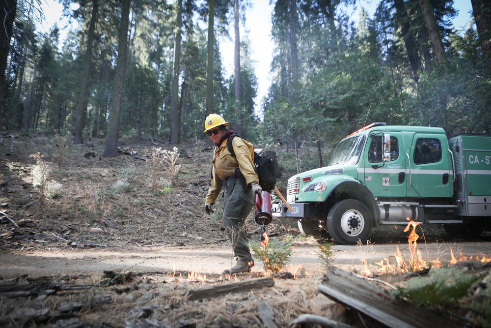 Experimental Forest Prescribed Burn