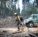 Experimental Forest Prescribed Burn