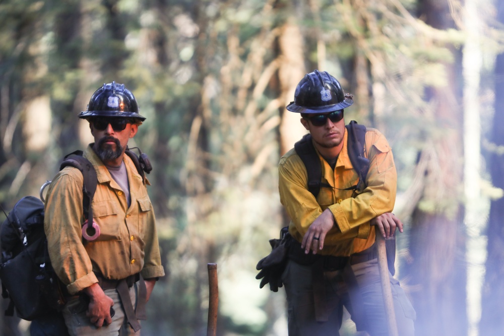 Experimental Forest Prescribed Burn